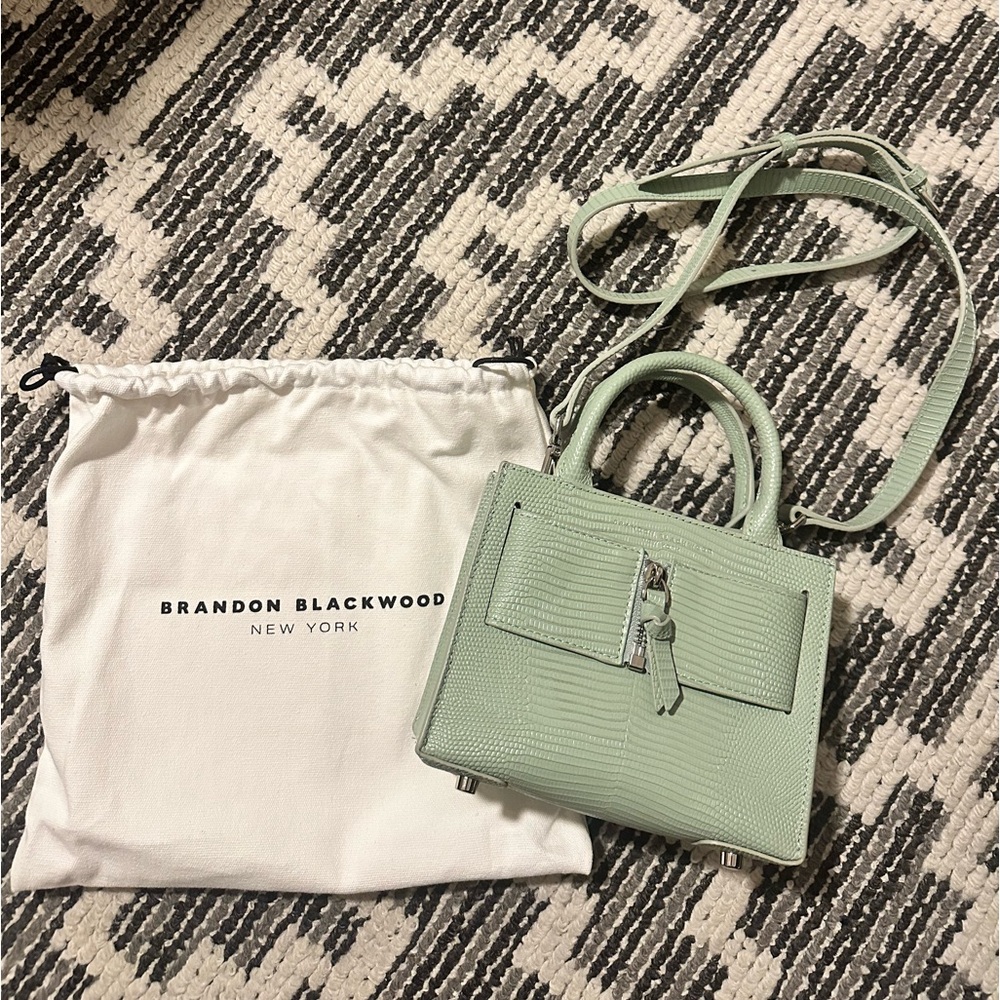 NWT Brandon Blackwood Kuei Green Lizard Print Bag🦎